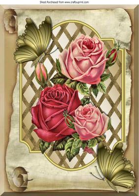 Pretty Roses on Lattice Frame on a Scroll & Butterflies A4