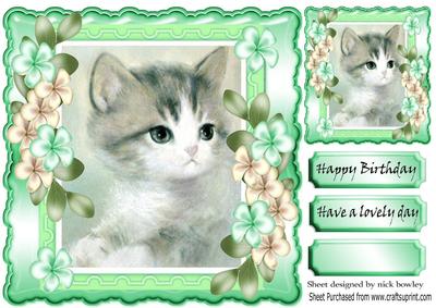 Cute Little Grey Kitten with Flowers 8x8