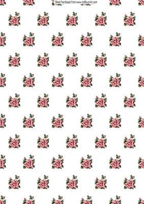 Pink Roses with Buds Backing Paper