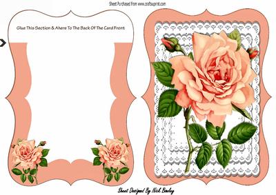 Pretty Peach Rose on Layered Lace Bracket Card