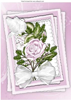 Pretty Pink Roses on Layers and Lace with Dove A4
