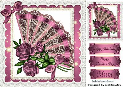 Pretty Rose Pink Lace Fan with Roses, in Lace Frame 8x8
