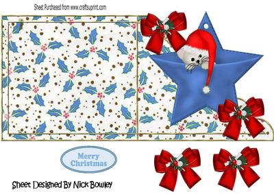 Kitten in Santa Hat Sleeping on Blue Star Over the Edge