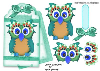 Cute Owl on a Fancy Turq Tag with Bow