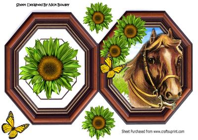 Lovely Horse with Vintage Hexagon Frame with Sunflowers