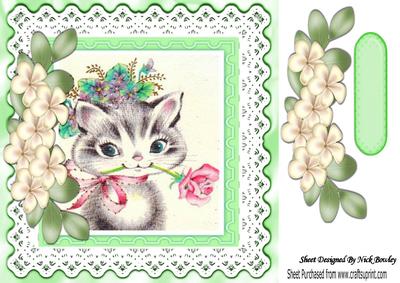 Little Grey Kitty with Flowers on Lace 8x8