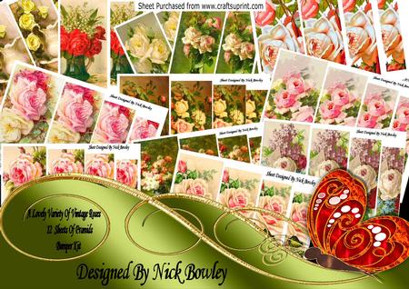 A Lovely Bumper Kit of 12 Lovely Vintage Roses in Pyramids
