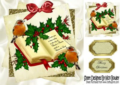 Verse with Bible and Holly with Little Robins 8x8