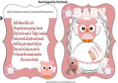 Baby Girl in Basket Carried by Owl Bracket Card/verse