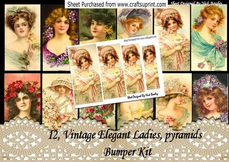 12, Vintage Elegant Ladies Pyramids Bumper Kit