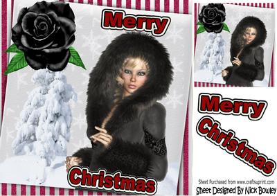 Pretty in Black Fur All Wrapped Up for Winter 8x8