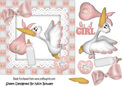 One Beautiful Baby Girl, Special Delivery with Stork 7x7