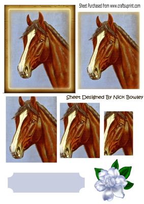 Horse with White Stripe and Flower Pyramids