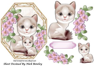Cute Kitten with Mum with Pink Flowers