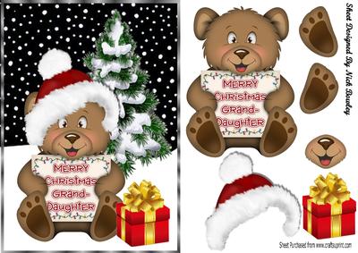 Cute Teddy in Santa Hat for Grandaughter