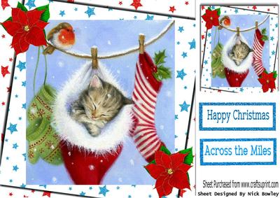 Cute Kitty in Fluffy Hanging Santa Sock 8x8