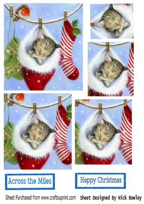 Cute Kitty in Fluffy Hanging Santa Sock Pyramids