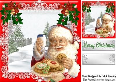 Thankyou for My Cookies, Lovely Santa in Snow Scene 8x8
