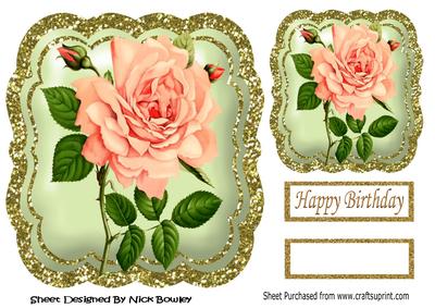 Pretty Peach Roses in Glitter Frame 8x8