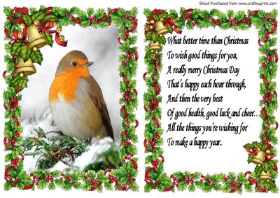 Lovely Robin Red Breast in Holly Frame with Bells & Insert