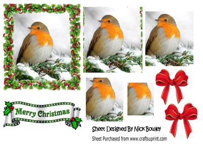 Robin Red Breast in Holly Frame Pyramids with Bows
