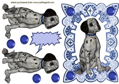 Cute Little Dalmation Puppy in Frame