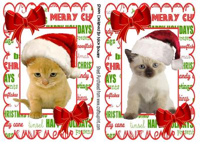 Cute Kitties in Santa Hats with Red Bows Quick Cards