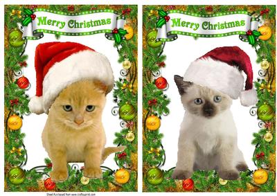 Cute Kittie Card Fronts in Holly and Bauble Frames