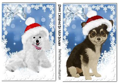 Cute Little Chihuahua Puppy & Poodle in Santa Hats
