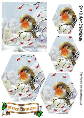 Robin on a Branch of Berries with Snow Hexagon Pyramids