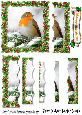 Robin in the Snow in Holly Frame Side Stackers