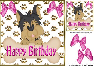 Cute Little Yorkshire Terrier with Her Bone 8x8