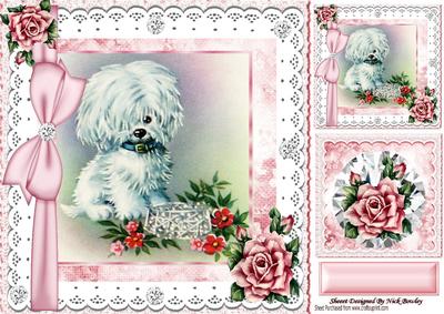 Cute Little White Pampered Dog with Roses, Lace & Diamonds