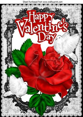 My Valentine, Red Rose, and White Doves, Black Lace A4