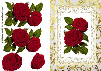 Beautiful Red Roses in Ornate Frame