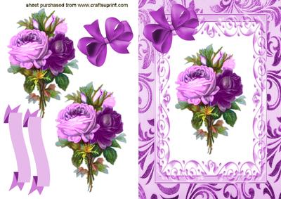 Beautiful Shades of Purple/pink Flowers