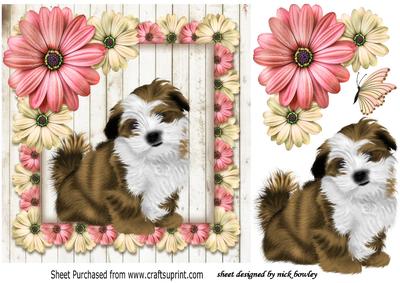 Pretty Lhapso Puppy in Floral Frame with Butterfly