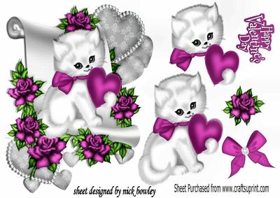 Cute Little White Kitten with Cerise Roses on a Scroll