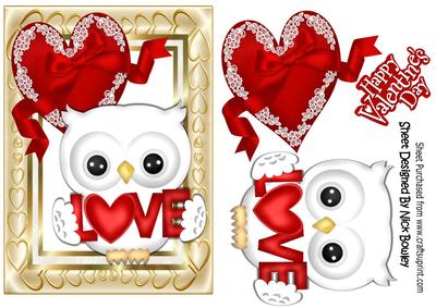 Cute White Love Owl with Red Lace Heart A5