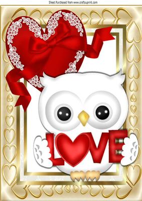 Cute White Love Owl with Red Lace Heart A4