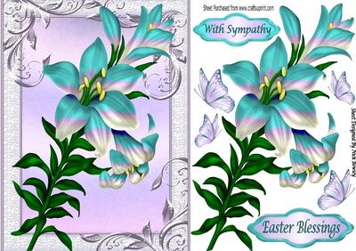 Pretty Rainbow Turq Lillies and Butterflies
