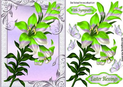 Pretty Rainbow Green Lillies and Butterflies