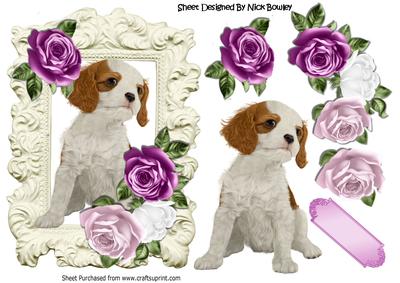 Cute Cavalier Puppy in Ornate Frame with Pink Roses