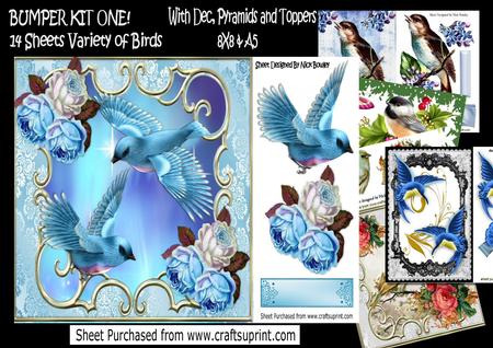 Bumper Kit One! 14 Sheets of Lovely Birds 8x8 & A5