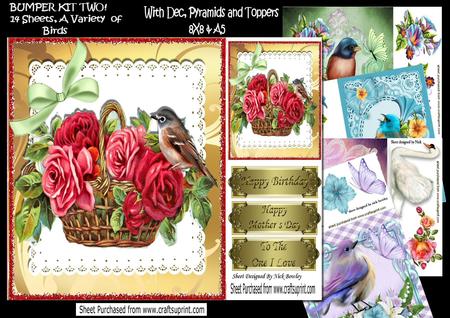 Bumper Kit Two! 14 Sheets of Lovely Birds 8x8 & A5