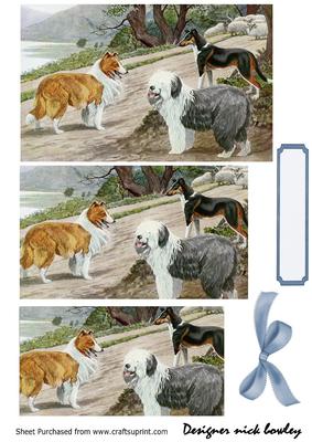 Border Collie, Sheepdog & Doberman in the Countryside