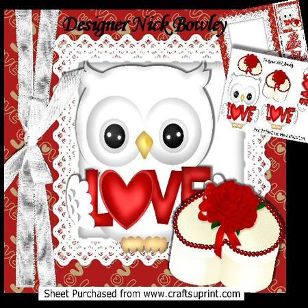 Cute White Owl with Love, Box with Rose 0n Lace 8x8 Mini Kit