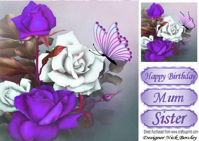 Pretty Purple and White Roses 8x8