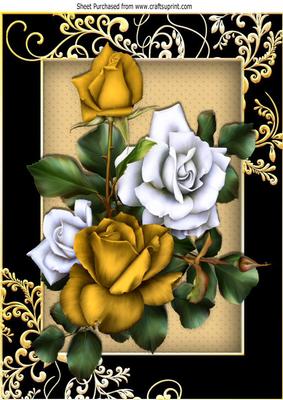 Pretty Gold and White Roses in Ornate Black/gold Frame A4