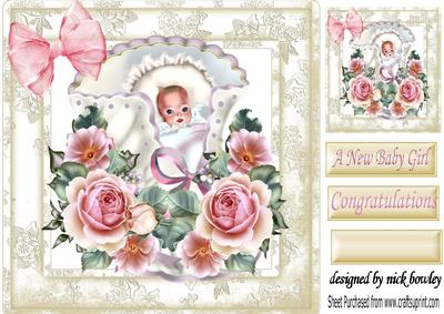 New Baby Girl Snuggled Up, with Pink Roses 8x8